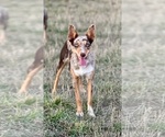 Small #59 Breeder Profile image