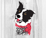 Small #1 Breeder Profile image