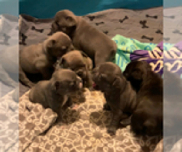 Medium Photo #1  Breeder Profile in MAGNOLIA, TX, USA