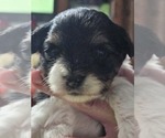 Small #2 Breeder Profile image