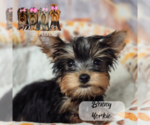 Small #7 Breeder Profile image