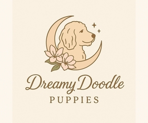 Goldendoodle Dog Breeder near MOORESVILLE, NC, USA