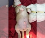 Small #11 Breeder Profile image