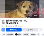 Small #2 Breeder Profile image