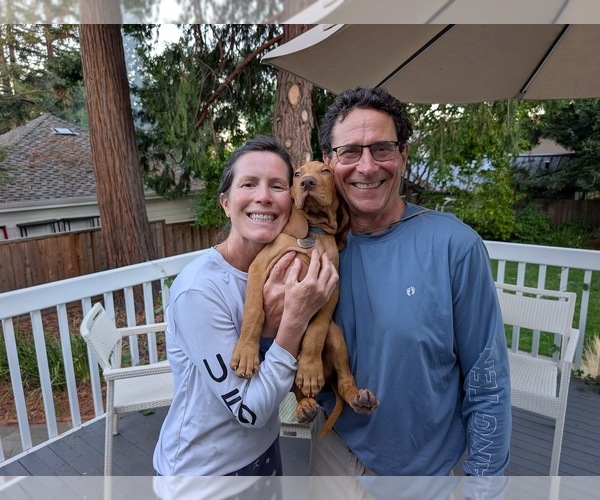 Medium Photo #11  Breeder Profile in LOS GATOS, CA, USA