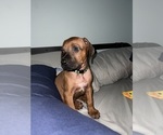 Small #31 Breeder Profile image