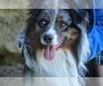 Small #7 Breeder Profile image