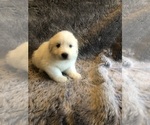 Small #7 Breeder Profile image