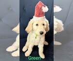 Small #4 Breeder Profile image