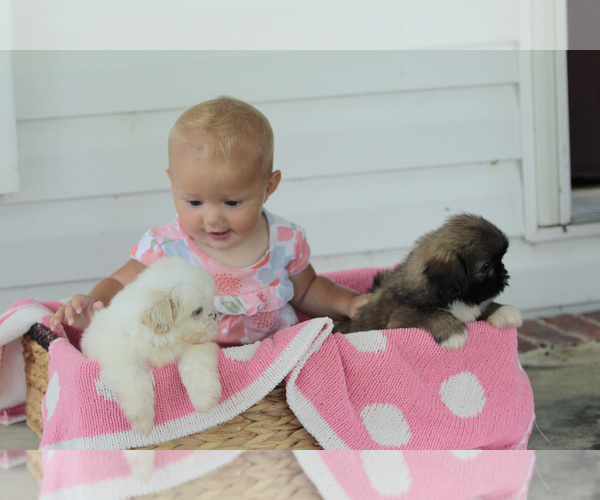 Medium Photo #4  Breeder Profile in ELKTON, KY, USA