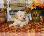 Small #12 Breeder Profile image