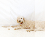 Small #28 Breeder Profile image