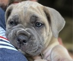 Small #2 Breeder Profile image