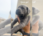Small #3 Breeder Profile image