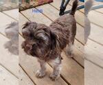 Small Photo #8  Breeder Profile in CONKLIN, NY, USA