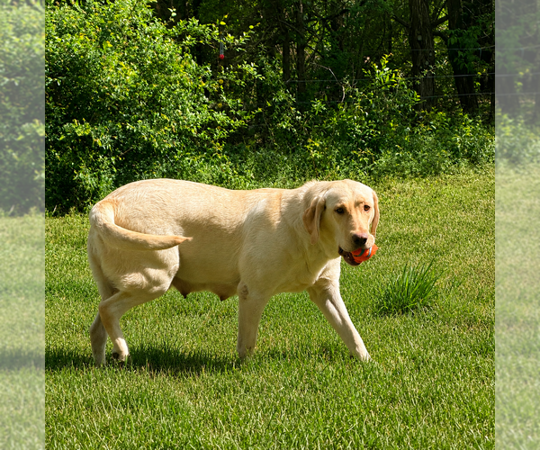 Medium Photo #3  Breeder Profile in WHITNEY, TX, USA