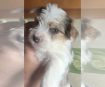 Small #6 Breeder Profile image