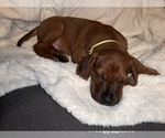 Small #13 Breeder Profile image