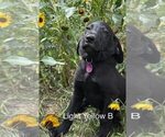 Small #4 Breeder Profile image
