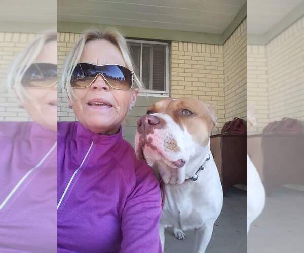 Medium Photo #1  Breeder Profile in LAWTON, OK, USA