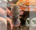 Small #13 Breeder Profile image