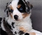 Small #1 Breeder Profile image