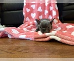 Small #2 Breeder Profile image