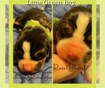 Small #1 Breeder Profile image
