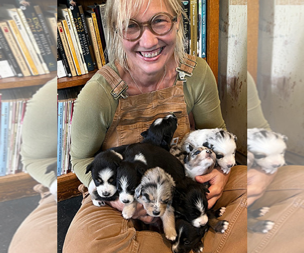 Medium Photo #1  Breeder Profile in PORTLAND, OR, USA