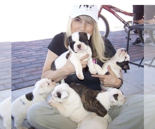 Medium Photo #1  Breeder Profile in FRANKLIN, IN, USA
