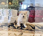 Small #11 Breeder Profile image