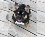 Small #32 Breeder Profile image