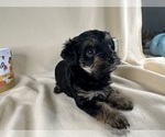 Small #24 Breeder Profile image
