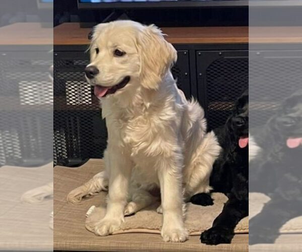 Medium Photo #4  Breeder Profile in Aylmer, Ontario, Canada