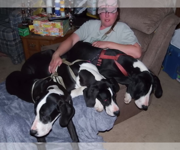 Medium Photo #1  Breeder Profile in SPRAGGS, PA, USA