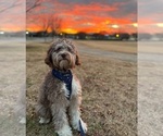 Small #9 Breeder Profile image
