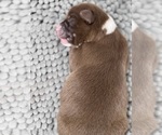 Small #5 Breeder Profile image
