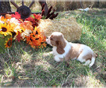 Small #89 Breeder Profile image