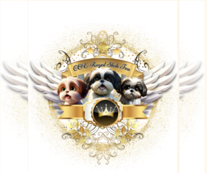Shih Tzu Dog Breeder near ATHENS, GA, USA
