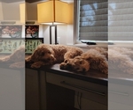 Small #8 Breeder Profile image
