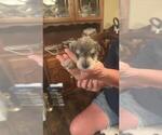 Small #16 Breeder Profile image