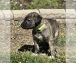 Small #18 Breeder Profile image