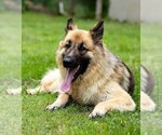 Small #3 Breeder Profile image
