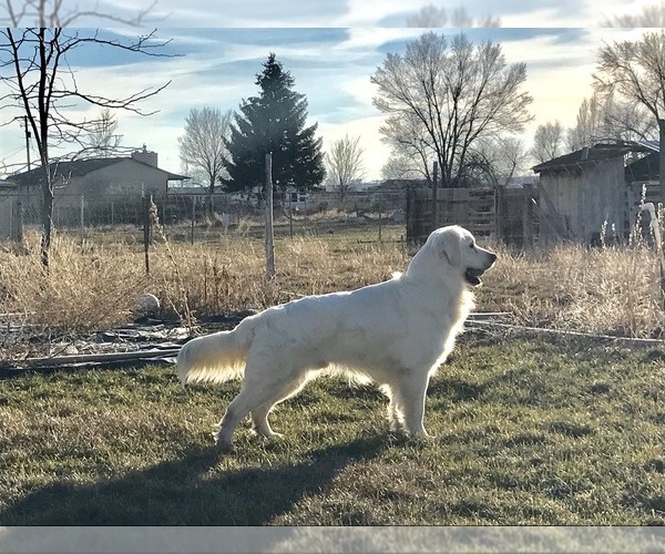 Medium Photo #1  Breeder Profile in RICHFIELD, UT, USA