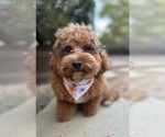 Small #32 Breeder Profile image