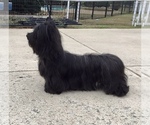 Small #7 Breeder Profile image