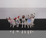 Small #5 Breeder Profile image
