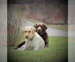 Small #15 Breeder Profile image