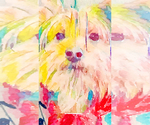 Small #7 Breeder Profile image