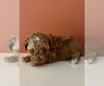 Small #2 Breeder Profile image